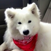 Георгий Космачев