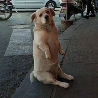 Владимир Смирнов
