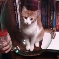 Хеллик Ро