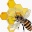 Bee One
