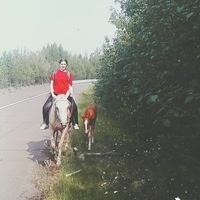 Влада Шаркова
