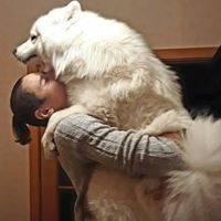 Егор Рыбчак