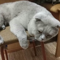 Ростислав Паршиков