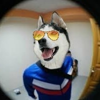 Олег Дзьон