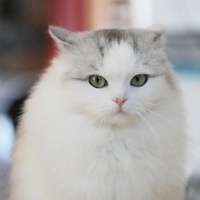 Анна Чернова