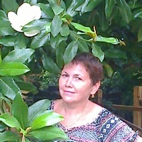 Елена Черепанова