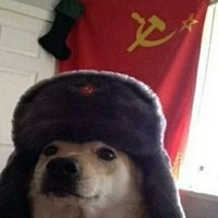 Владимир Назайкинский