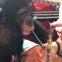 Данила Ашихмин
