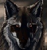 DGWolf