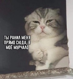 flubabi