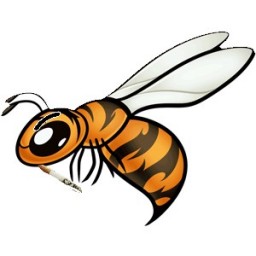 Wasp666