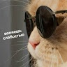 Руслан Бердикешев