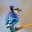 AzureBird