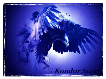 Kondor