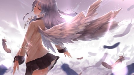 Avialae