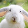Penetrator27 Королев