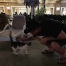 egor_strenyuk Стренюк