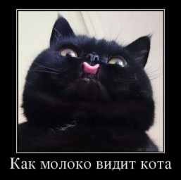 DarknessLordd